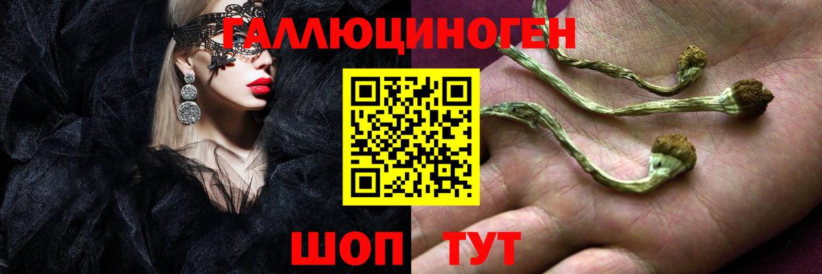 Мурманск  Галлюциногенные грибы MAGIC MUSHROOMS  Вход с VPN 